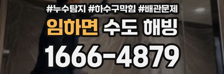 임하면 수도 해빙