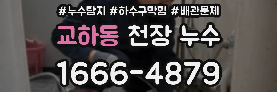 교하동 천장 누수
