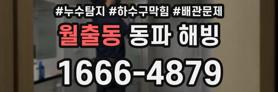 월출동 동파 해빙