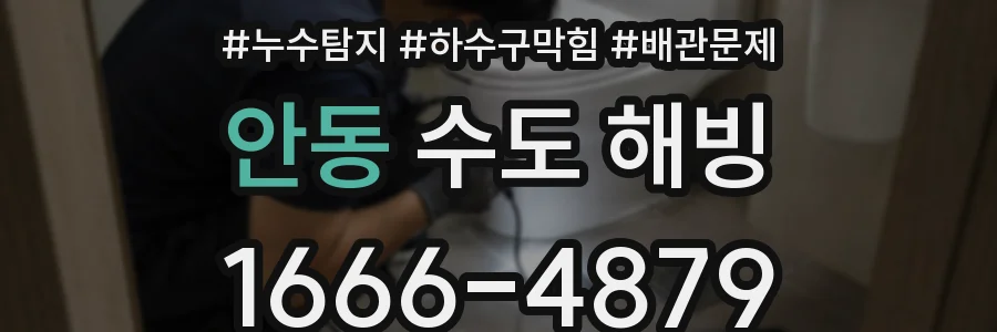 안동 수도 해빙
