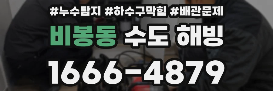 비봉동 수도 해빙