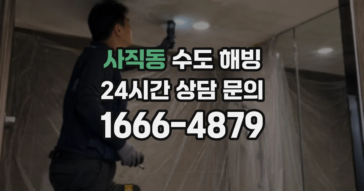 사직동 수도 해빙