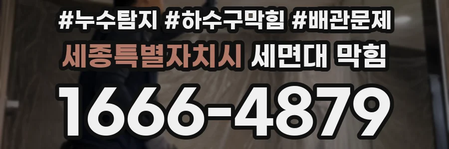 세종특별자치시 세면대 막힘