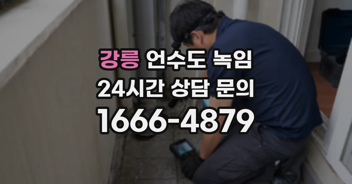 강릉 언수도 녹임