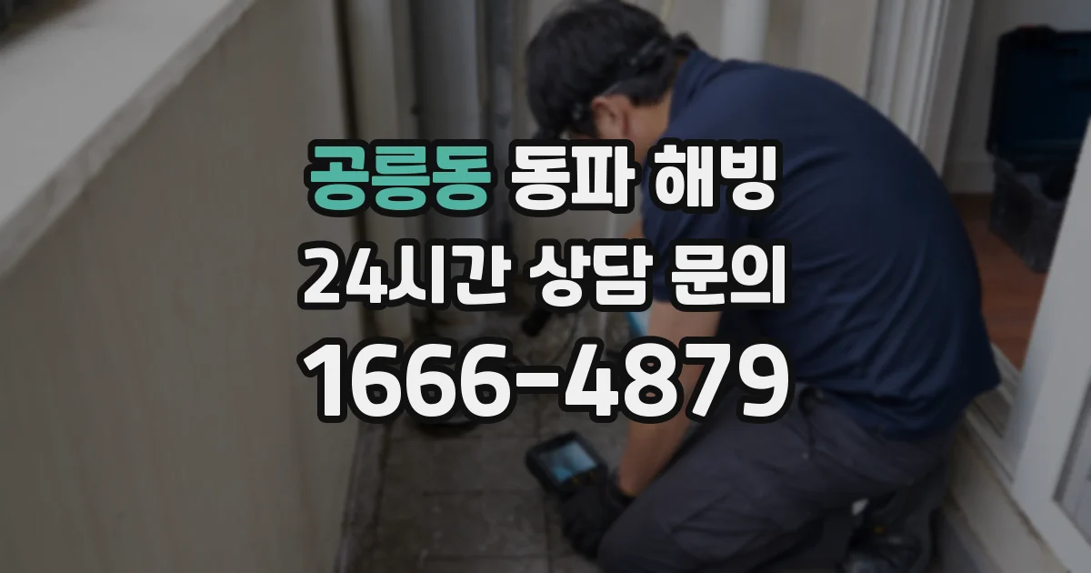 공릉동 동파 해빙