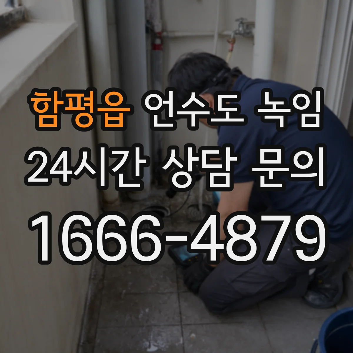 함평읍 언수도 녹임