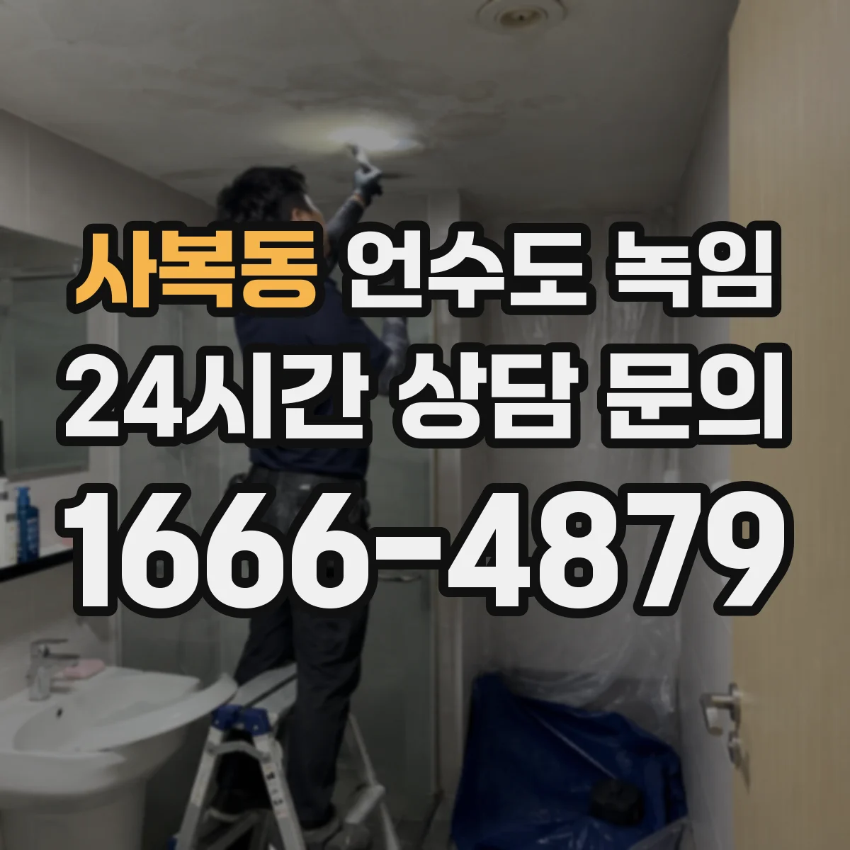 사복동 언수도 녹임