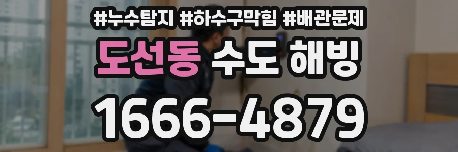 도선동 수도 해빙