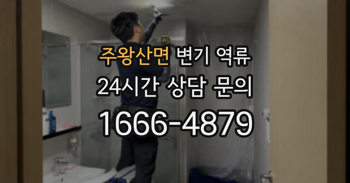 주왕산면 변기 역류