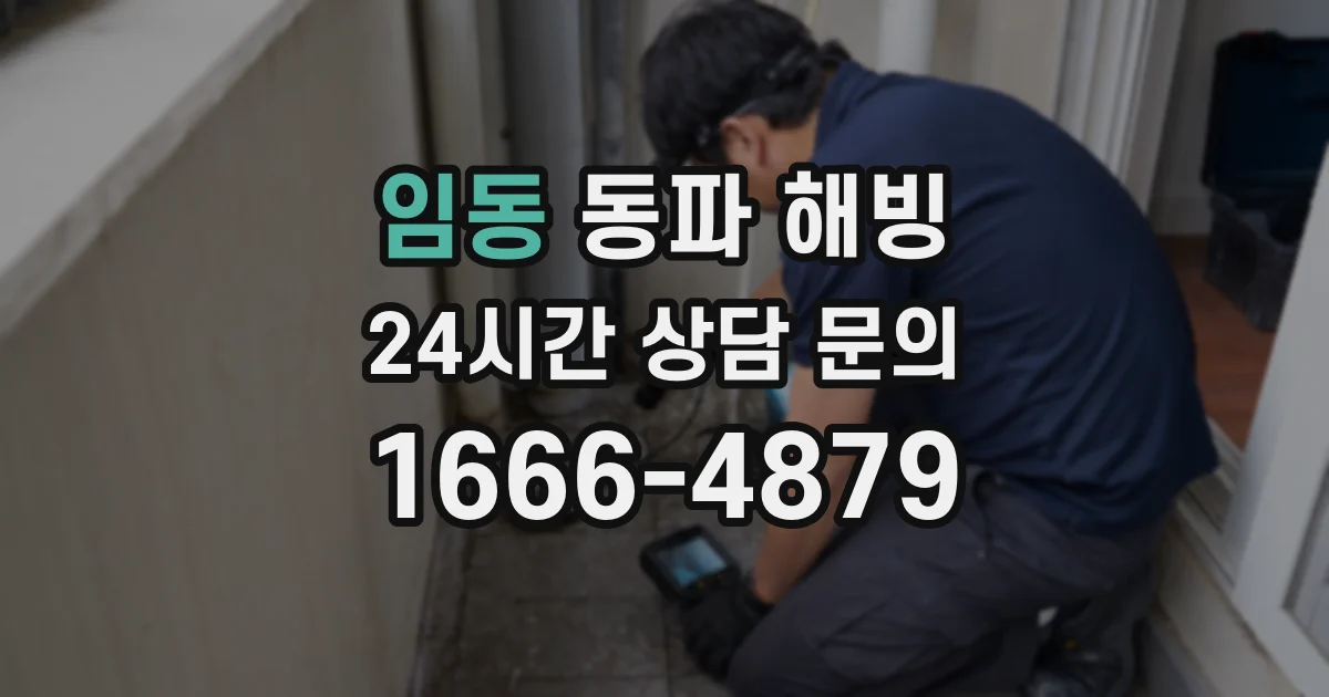 임동 동파 해빙