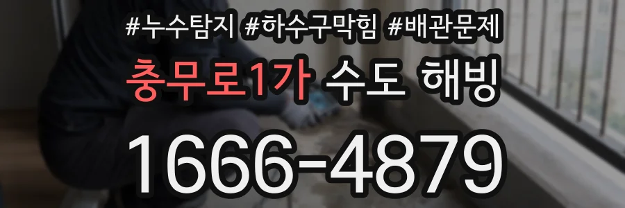 충무로1가 수도 해빙