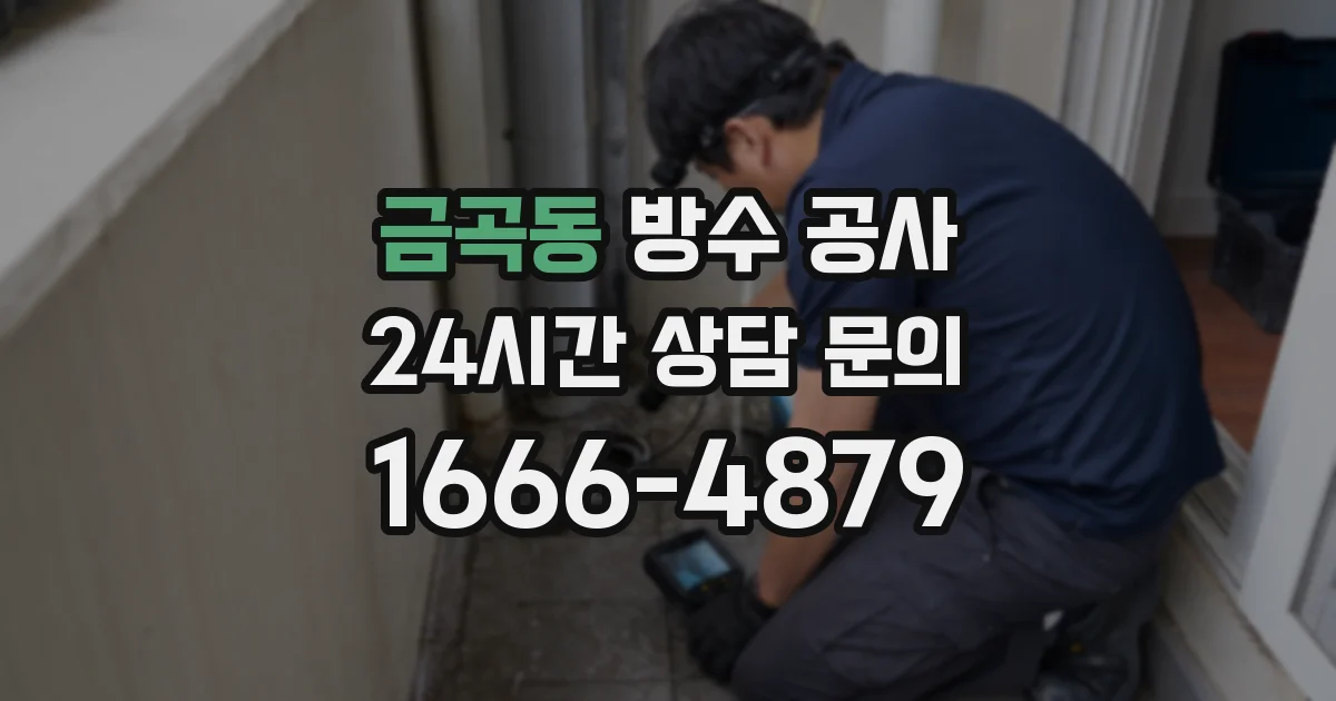 금곡동 방수 공사