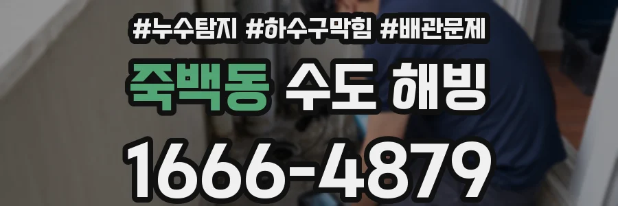 죽백동 수도 해빙