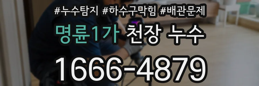 명륜1가 천장 누수