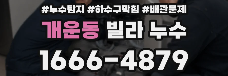 개운동 빌라 누수