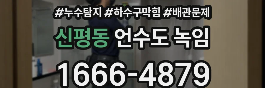 신평동 언수도 녹임