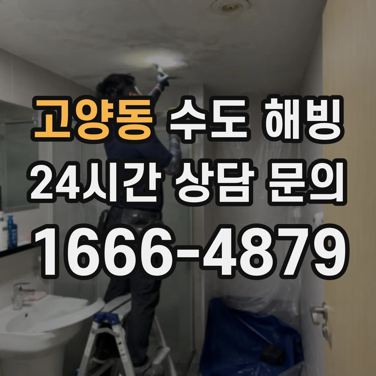 고양동 수도 해빙