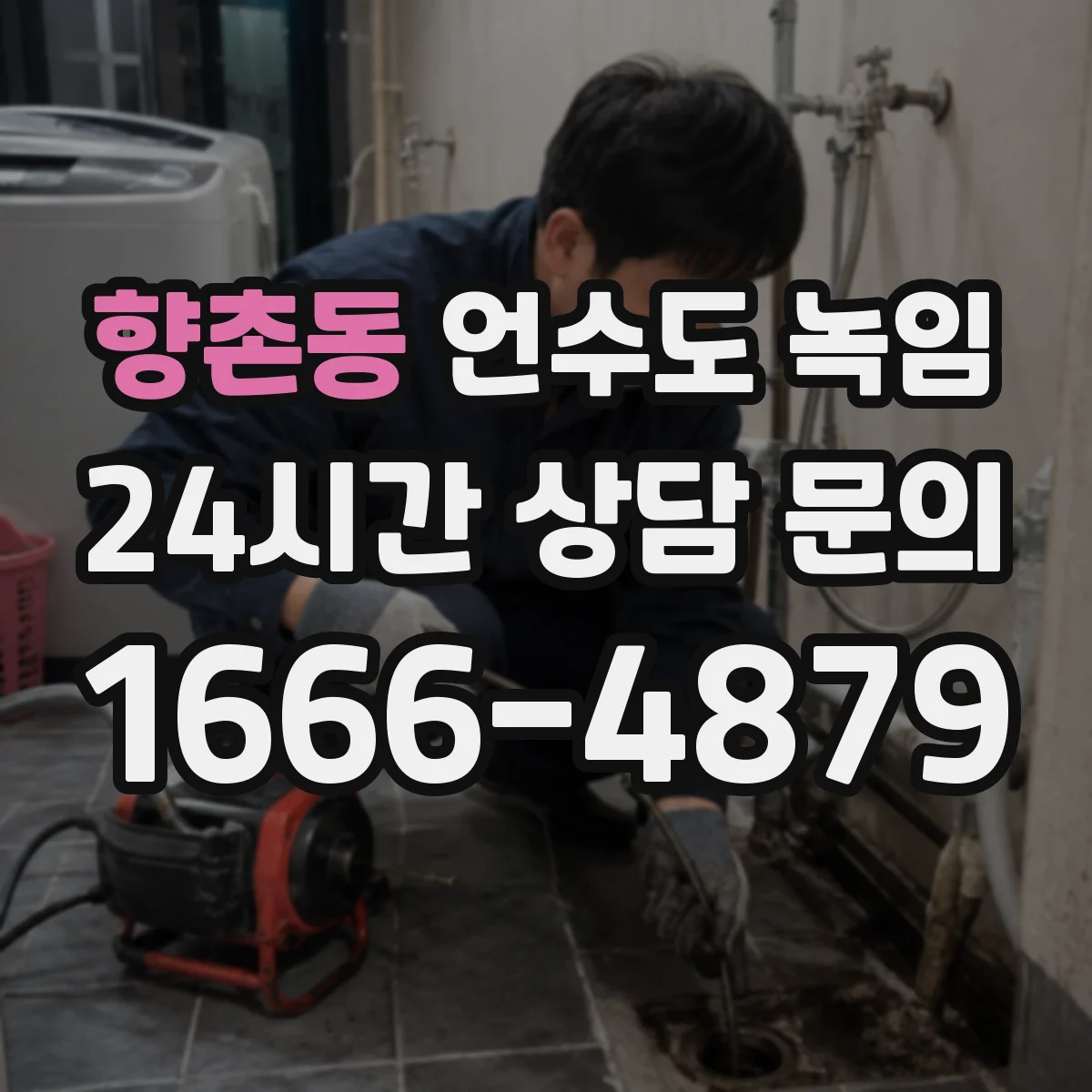 향촌동 언수도 녹임