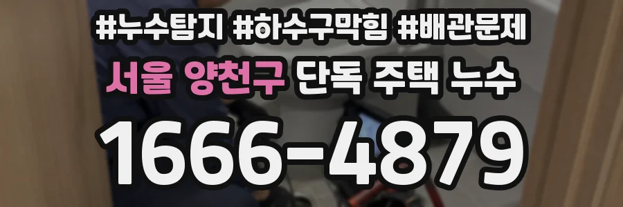 서울 양천구 단독 주택 누수