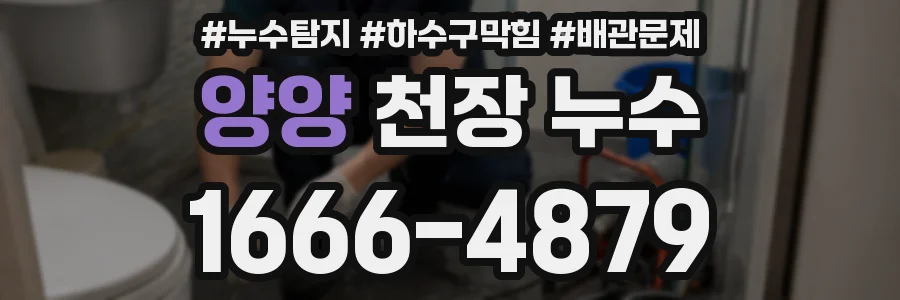 양양 천장 누수
