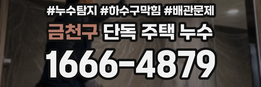 금천구 단독 주택 누수
