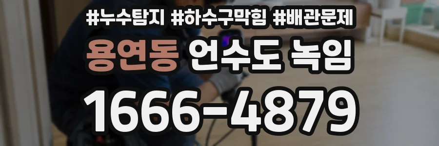 용연동 언수도 녹임