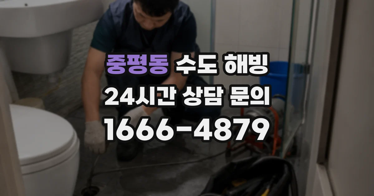 중평동 수도 해빙