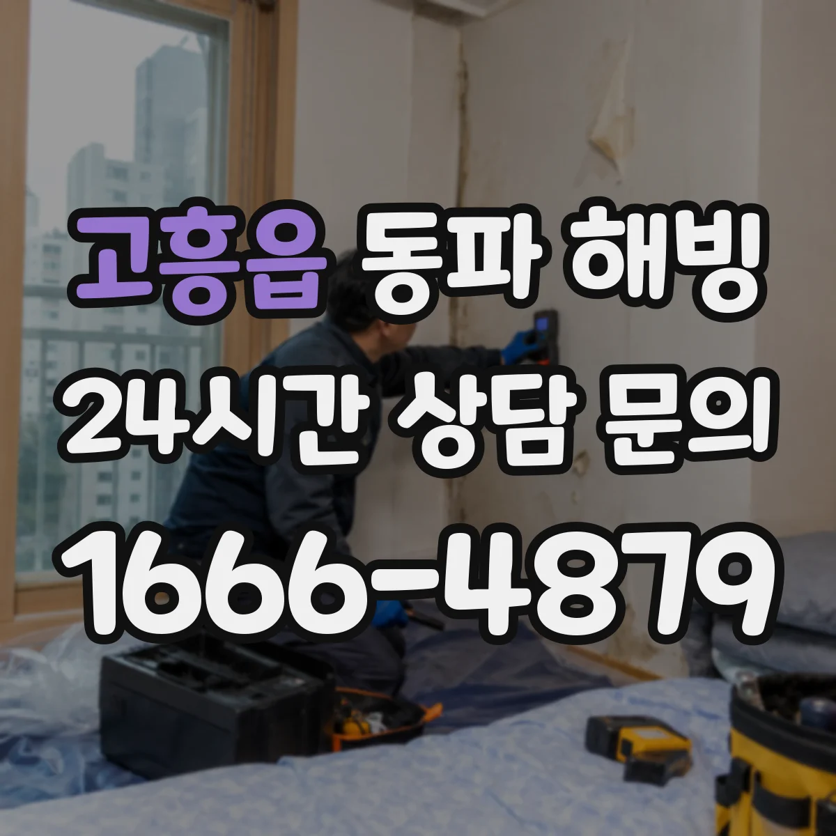 고흥읍 동파 해빙