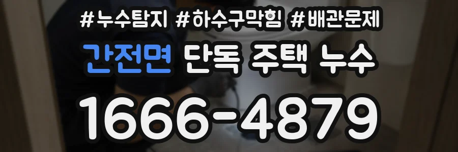 간전면 단독 주택 누수