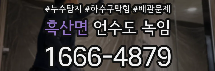 흑산면 언수도 녹임