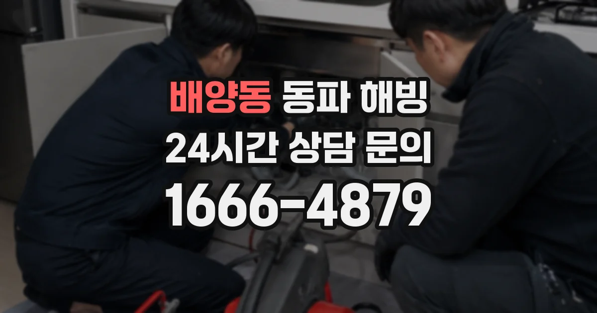 배양동 동파 해빙