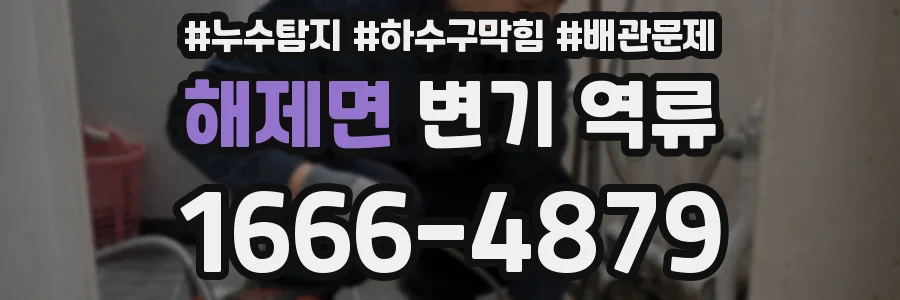 해제면 변기 역류