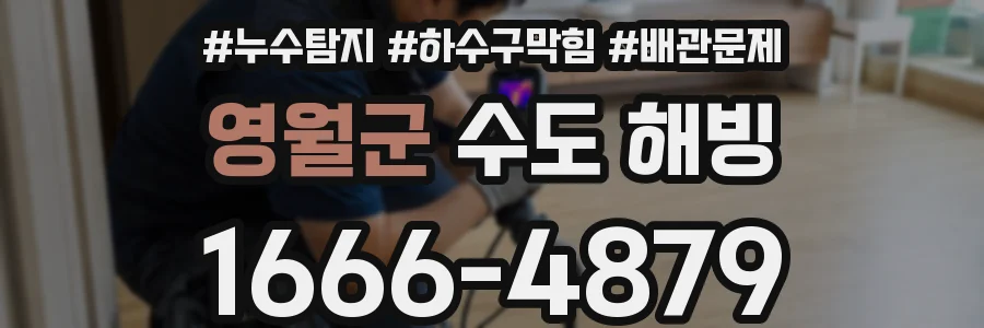 영월군 수도 해빙