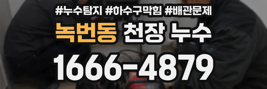 녹번동 천장 누수