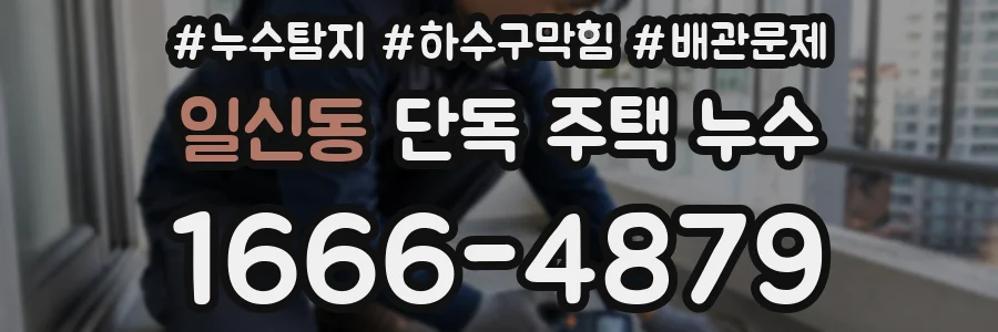 일신동 단독 주택 누수