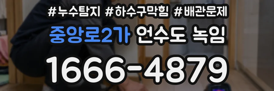 중앙로2가 언수도 녹임