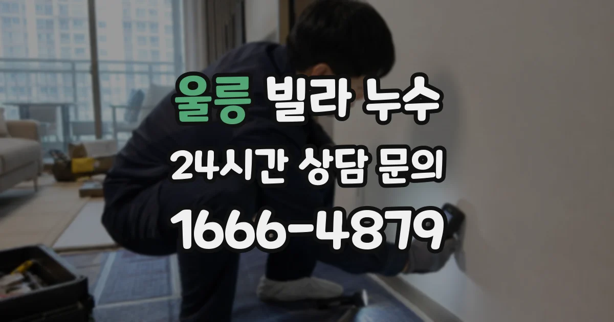 울릉 빌라 누수