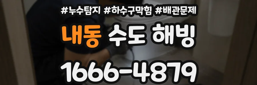 내동 수도 해빙