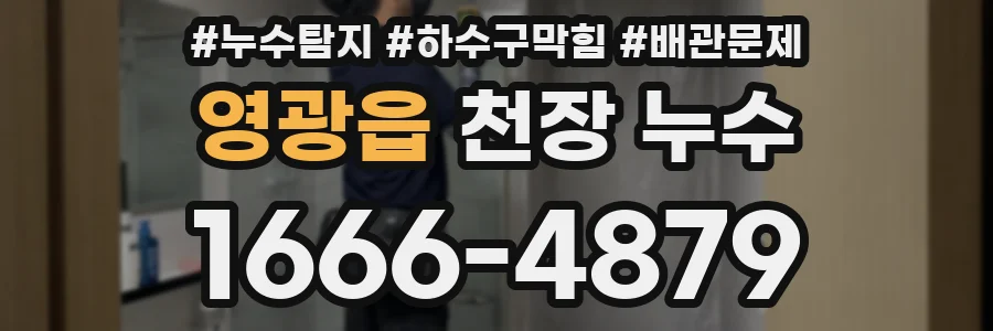 영광읍 천장 누수