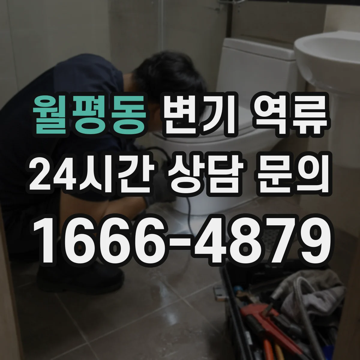 월평동 변기 역류
