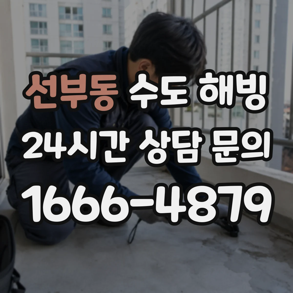 선부동 수도 해빙