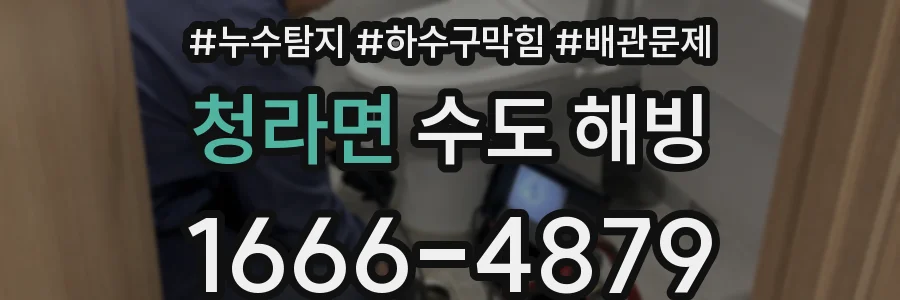 청라면 수도 해빙