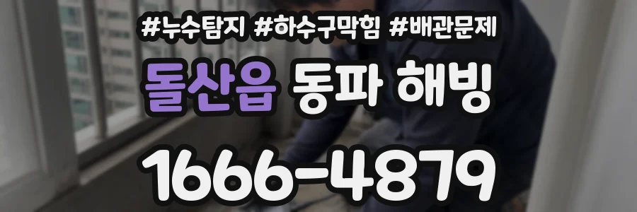 돌산읍 동파 해빙