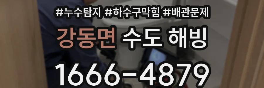 강동면 수도 해빙