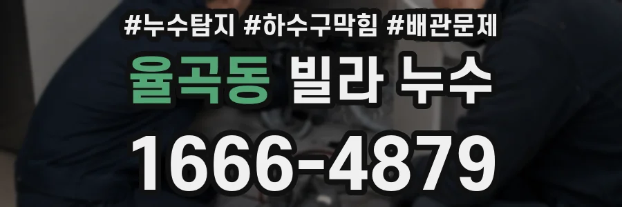 율곡동 빌라 누수
