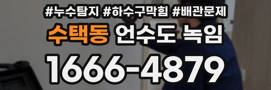 수택동 언수도 녹임