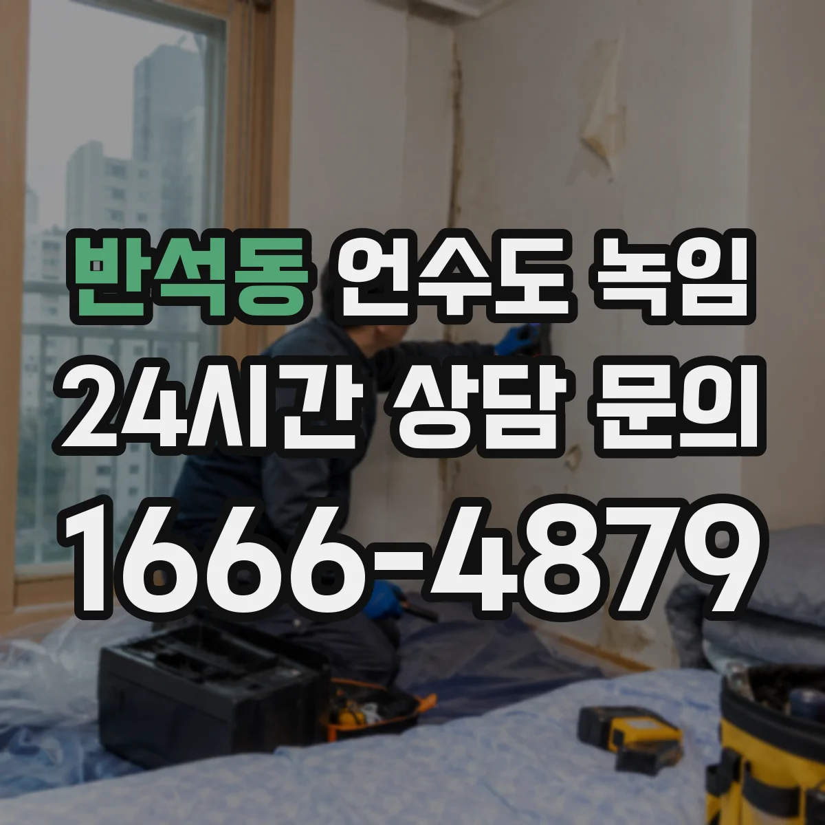반석동 언수도 녹임