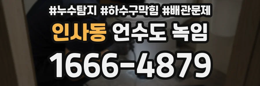 인사동 언수도 녹임