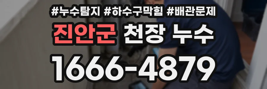 진안군 천장 누수