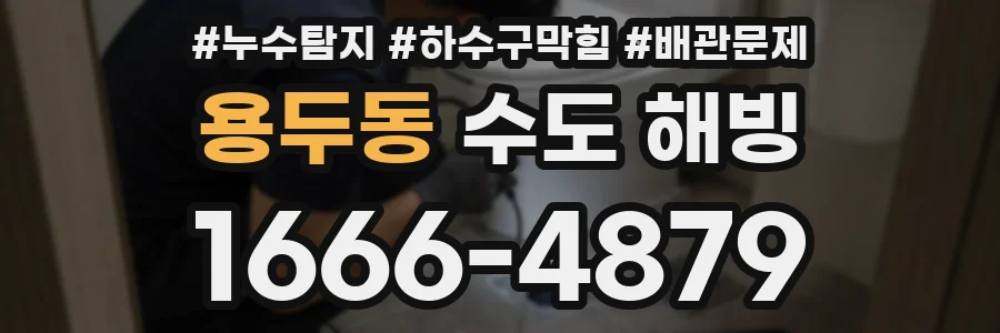 용두동 수도 해빙
